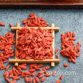 Nutrizione organica della frutta arancione della bacca di goji rossa